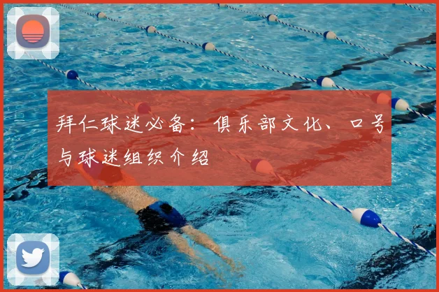 拜仁球迷必备:俱乐部文化、口号与球迷组织介绍
