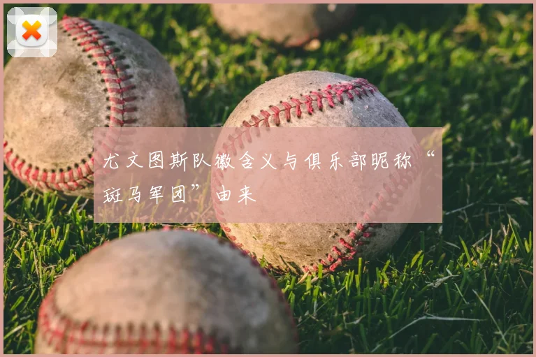 尤文图斯队徽含义与俱乐部昵称“斑马军团”由来
