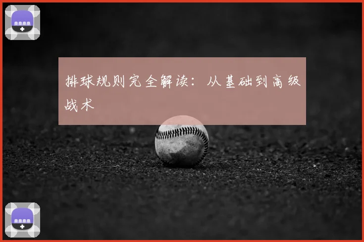排球规则完全解读:从基础到高级战术