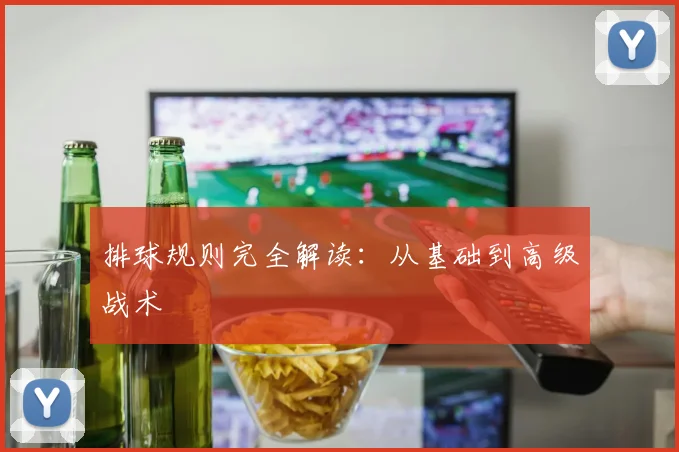 排球规则完全解读:从基础到高级战术