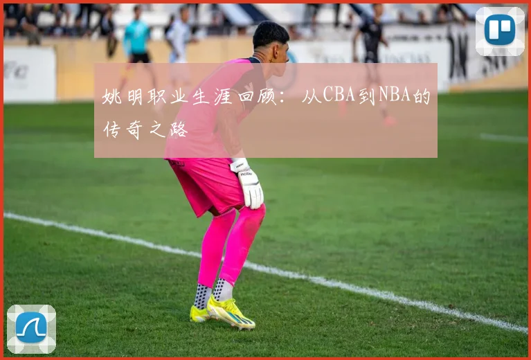 姚明职业生涯回顾：从CBA到NBA的传奇之路